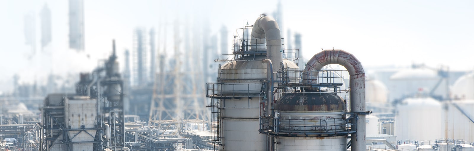 Petrochemical processing facility